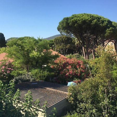 Studio Cosy Proche Mer Saint-Cyr-sur-Mer Luaran gambar
