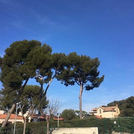 Studio Cosy Proche Mer Saint-Cyr-sur-Mer Luaran gambar