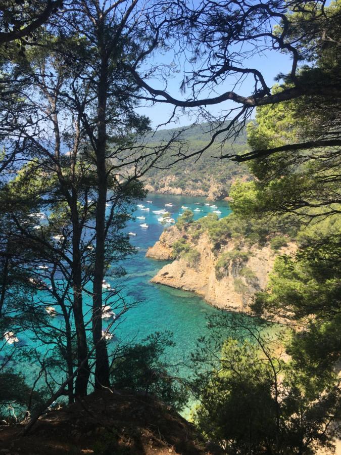 Studio Cosy Proche Mer Saint-Cyr-sur-Mer Luaran gambar