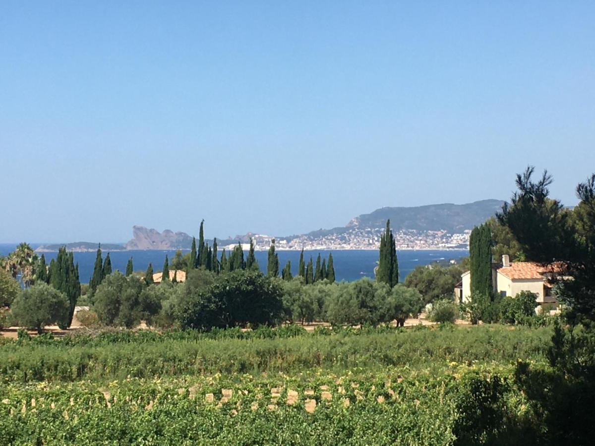 Studio Cosy Proche Mer Saint-Cyr-sur-Mer Luaran gambar