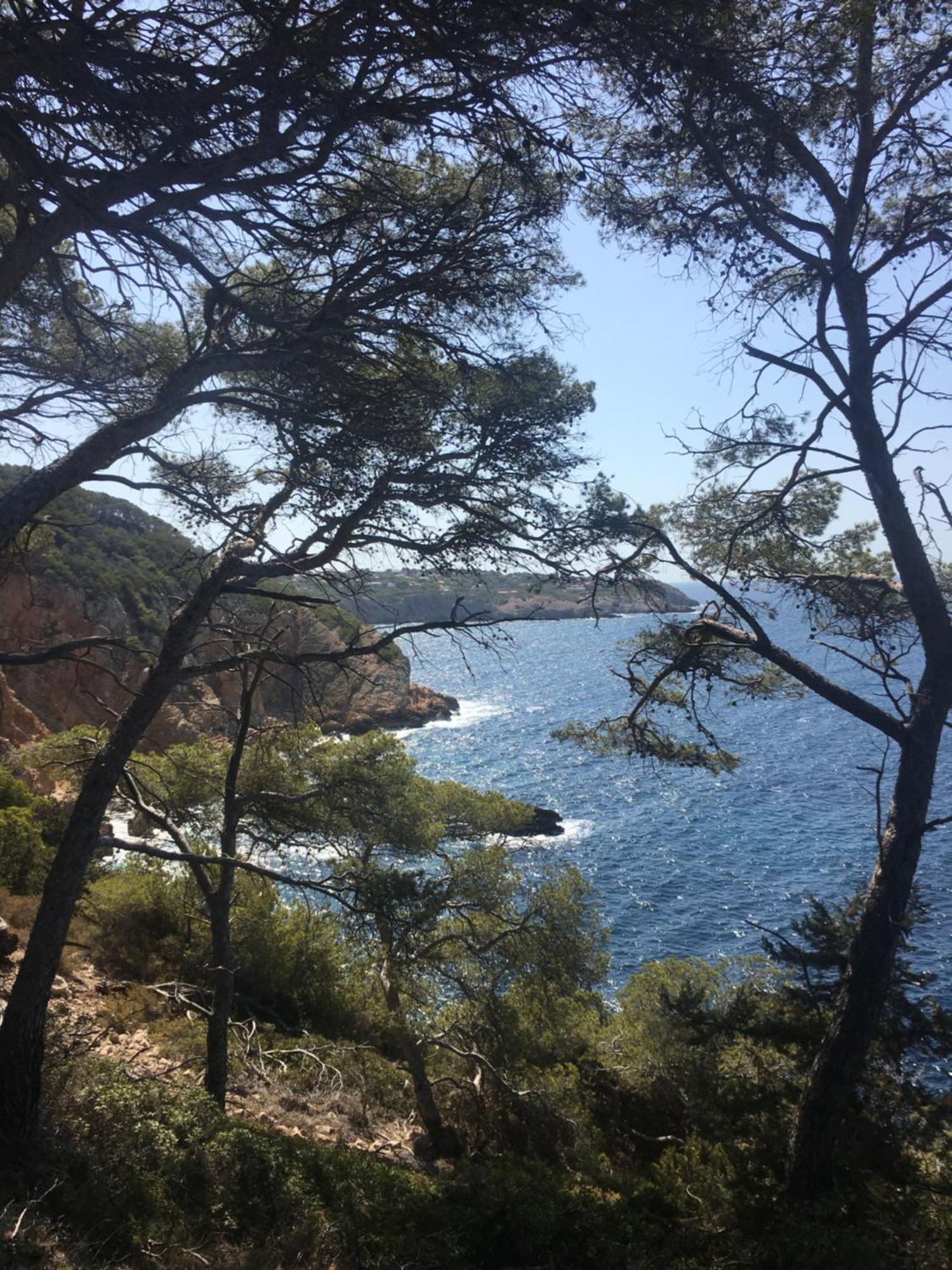 Studio Cosy Proche Mer Saint-Cyr-sur-Mer Luaran gambar